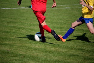 乐鱼体育网站入口-中国田径队在世界舞台上表现优异,奖牌不断,中国田径队排名